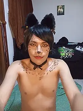 NekoboiPetiole webkamerás műsora