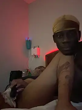 Show webcam de PreciseBil16478