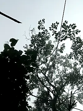 kemtuoi-sexn Webbikameraesitys