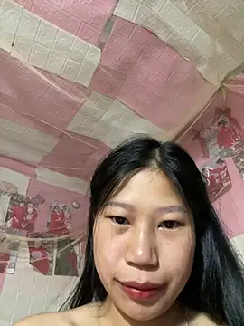 Spying_bird 网络视讯表演