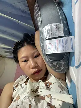 Spying_bird 网络视讯表演