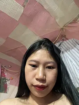 Spying_bird 网络视讯表演