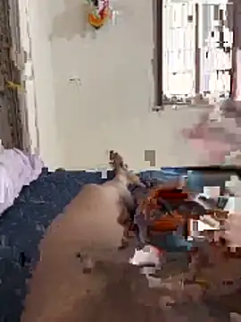 Show de messi_lorita na webcam