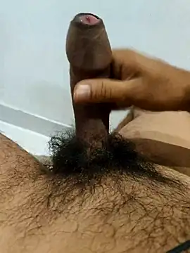 Show modela ram5552 na web-kameri