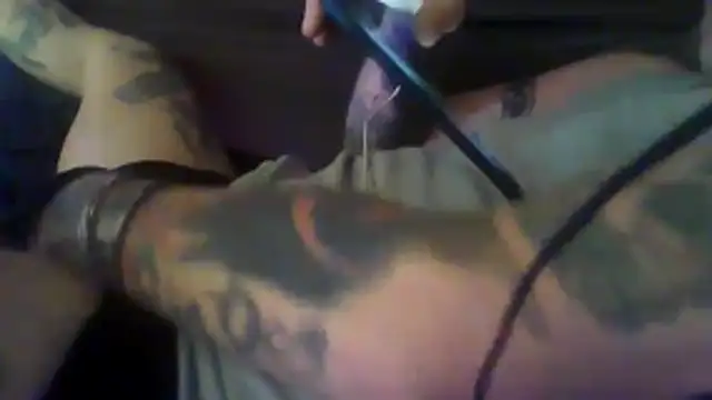 WiltedYellern Webbikameraesitys