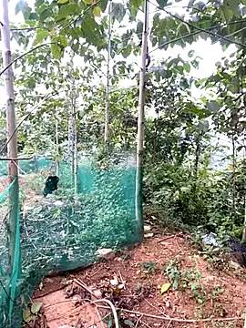 Hot_bitv's Webcam Show