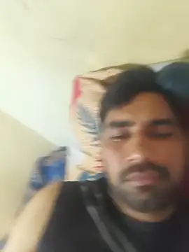 snadycam Pertunjukan Webcam