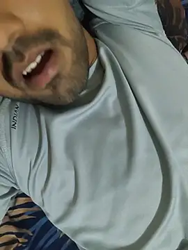 snadycam Webcam show