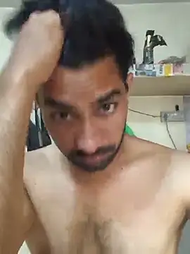 Show webcam de snadycam