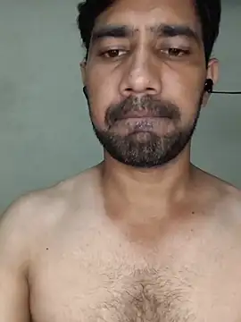 Show webcam de snadycam