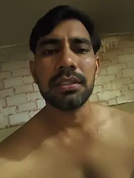 Show de webcam de snadycam