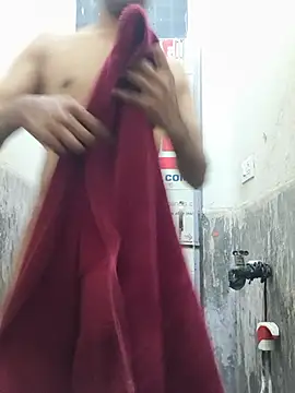 snadycam Webcam show
