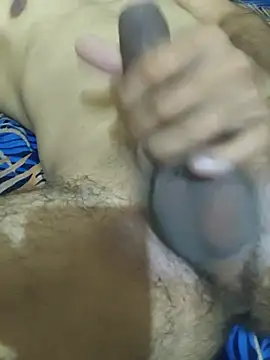 הופעת וובקאם של snadycam