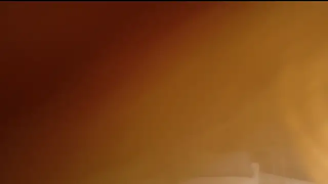 MeganXDesire live-chat rom