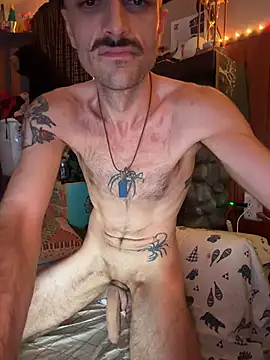 HarmoniousPhantasm3n Webbikameraesitys