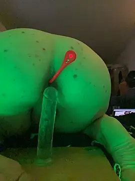 Show Webcam de Kleintju