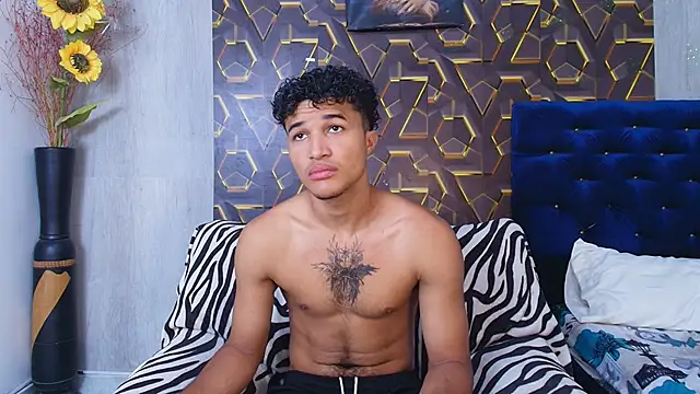 fire_drako_n Webbikameraesitys