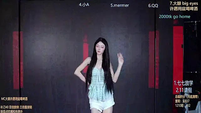 SK010 Webcam-Show