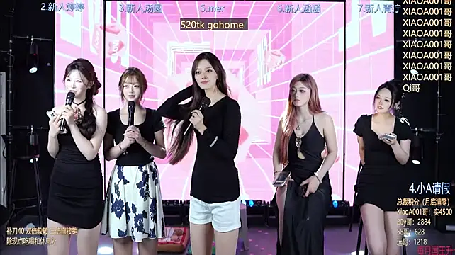 SK010 Webcam-Show