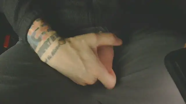 Show webcam de mfrank3101