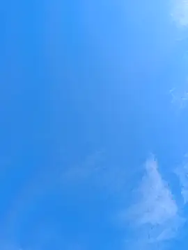 Show webcam de matatan0323