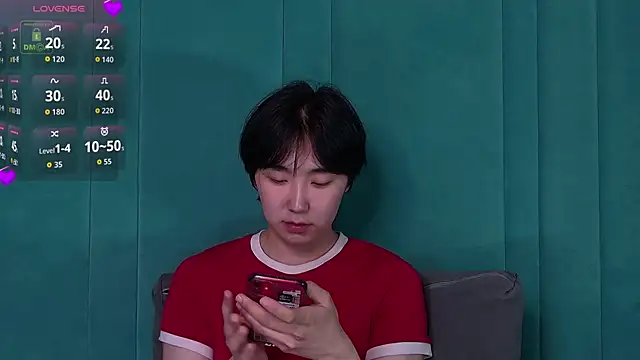 HeejinWang Webcamshow
