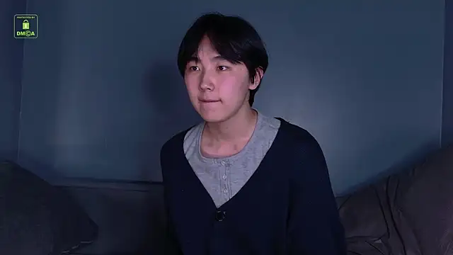 HeejinWangn Webbikameraesitys