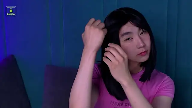 Show webcam de HeejinWang