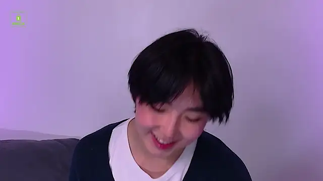 Show de webcam de HeejinWang