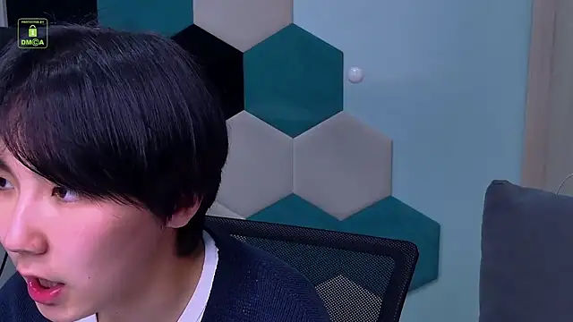 HeejinWang Webcamshow
