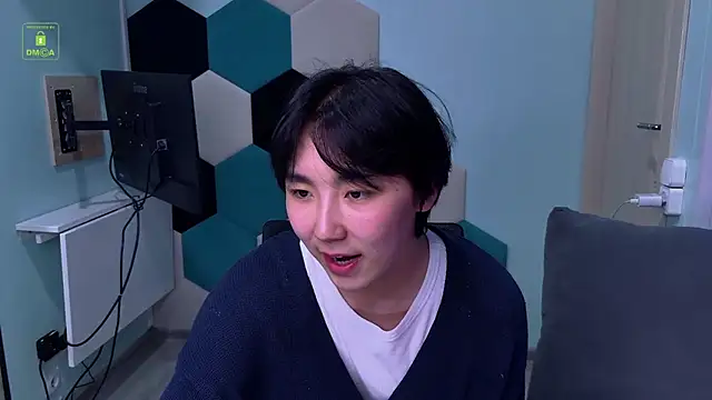 HeejinWangn Webbikameraesitys