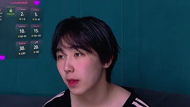 Show webcam de HeejinWang