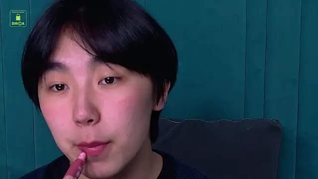 Show Webcam de HeejinWang