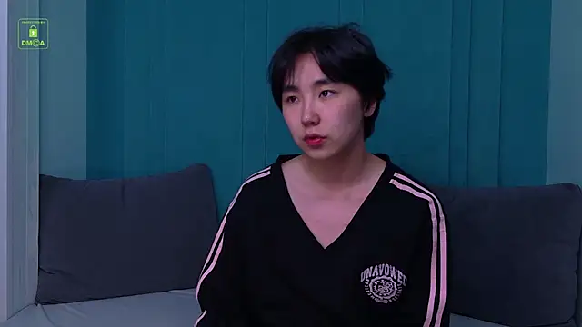 HeejinWang Webcam Show