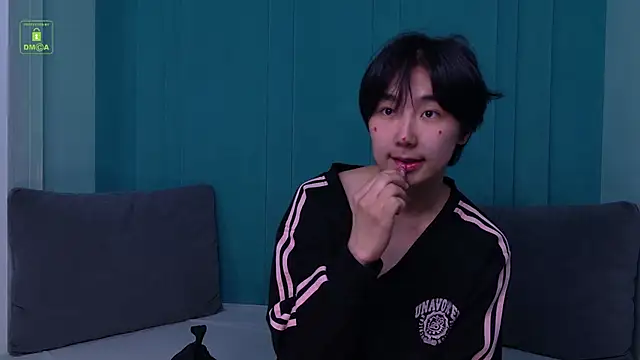 HeejinWangn Webbikameraesitys