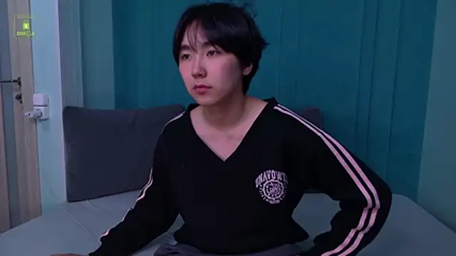 HeejinWang Webcam-Show