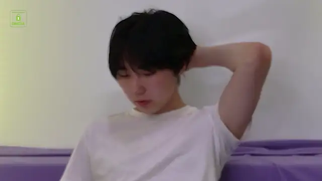 HeejinWang webcam show