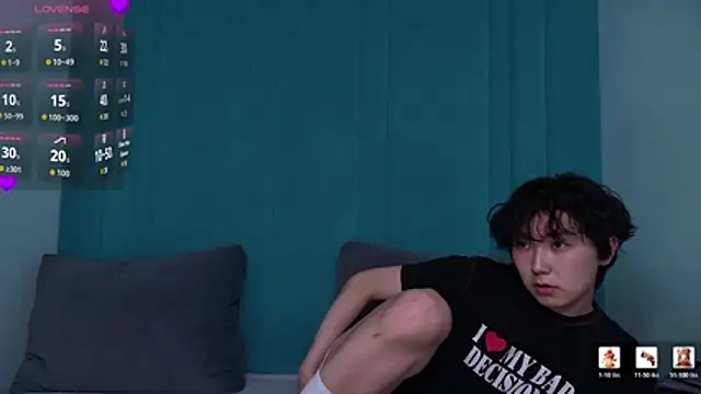 Show webcam de HeejinWang