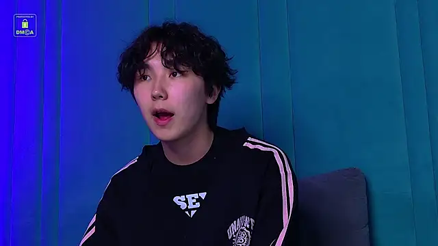 HeejinWang Webcam show