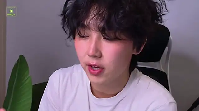 HeejinWang Webcamshow
