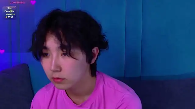 הופעת וובקאם של HeejinWang