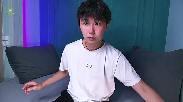 HeejinWangn Webbikameraesitys