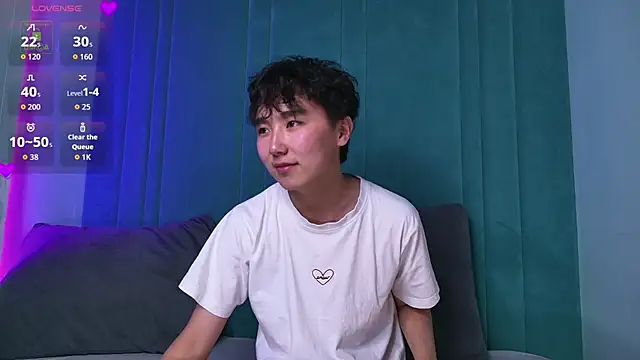 Show webcam de HeejinWang