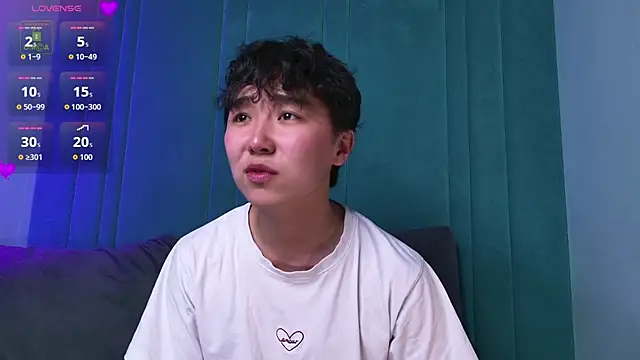 Show Webcam de HeejinWang