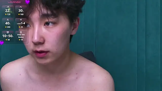הופעת וובקאם של HeejinWang