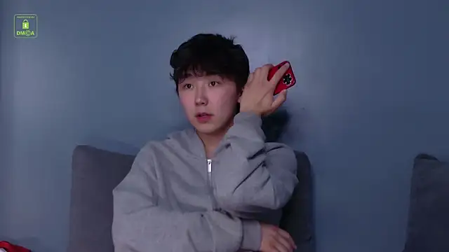 Show webcam de HeejinWang