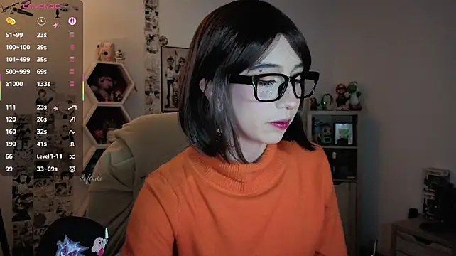 deftsukin Webbikameraesitys