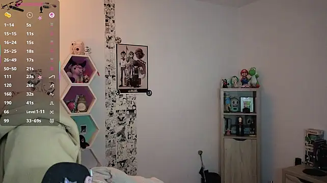 Show webcam de deftsuki