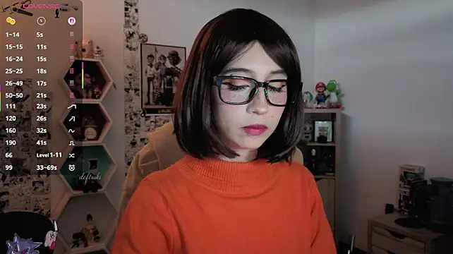Pertunjukan Kamera Web deftsuki
