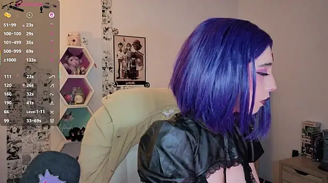Show webcam de deftsuki